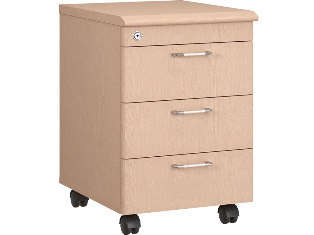 Tủ hồ sơ NTM3D